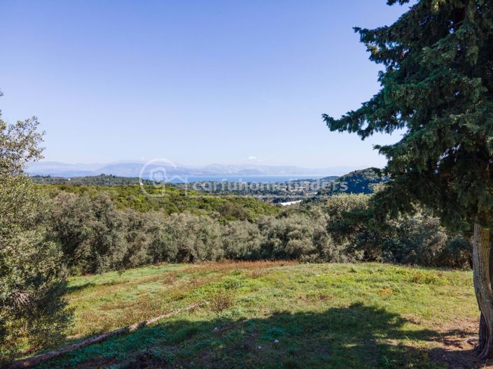 Image No.6-Terre à vendre à Corfou