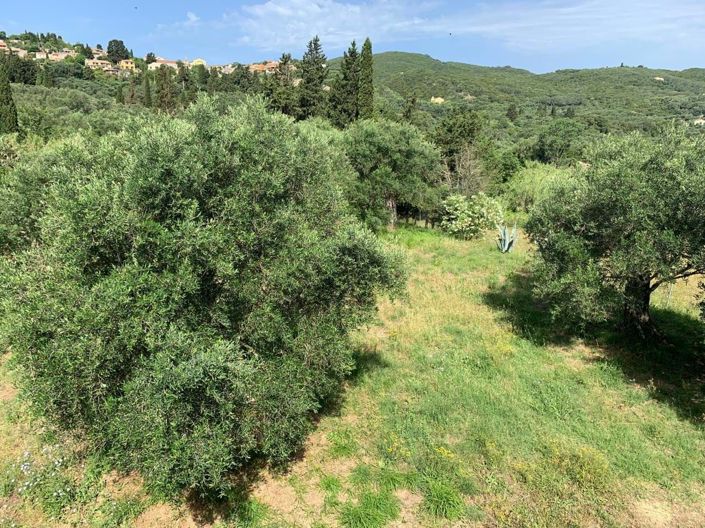 Image No.11-2 Bed House for sale