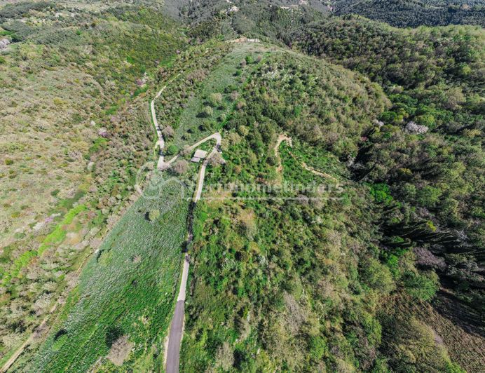 Image No.3-Land for sale