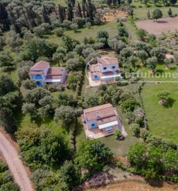 1 - Plátonas, House