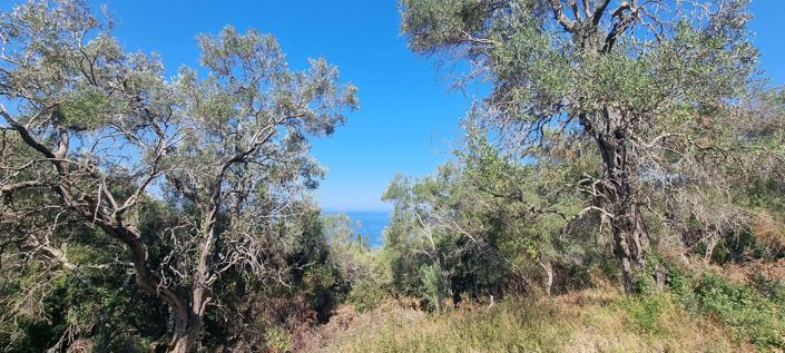 Image No.2-Land for sale