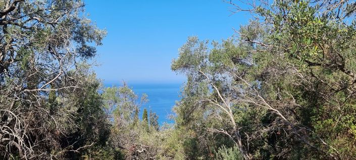 Image No.3-Land for sale