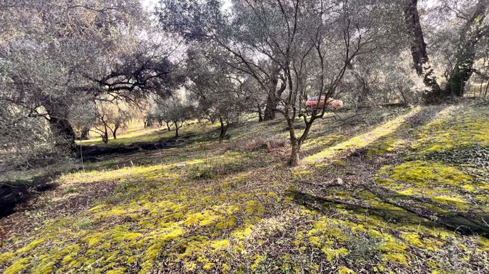 Image No.2-Land for sale