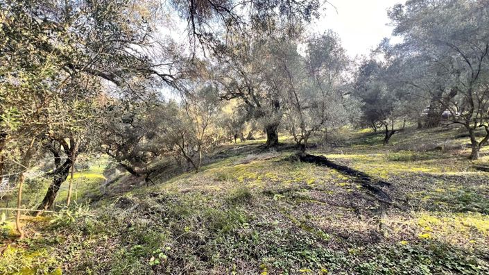 Image No.3-Land for sale