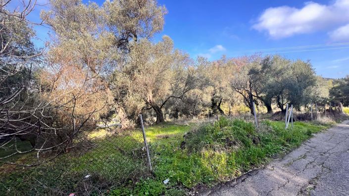 Image No.4-Land for sale