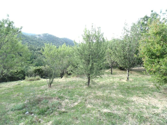 Image No.11-2 Bed House for sale