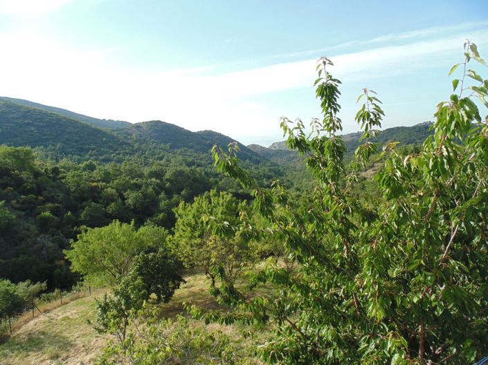 Image No.6-2 Bed House for sale