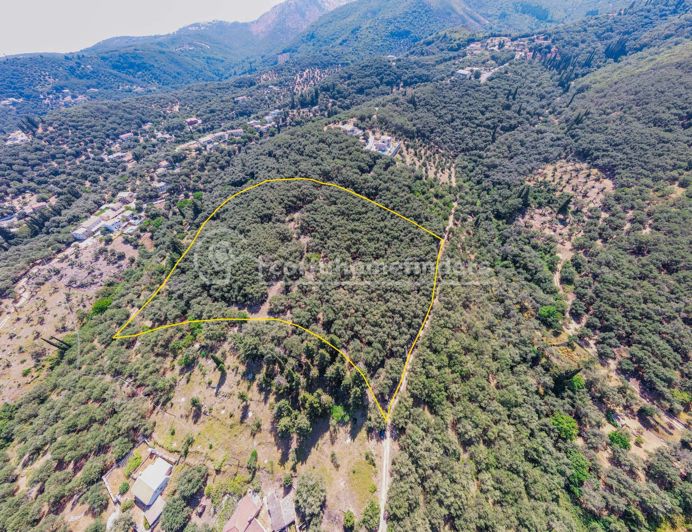 Image No.2-Terre à vendre à Corfou