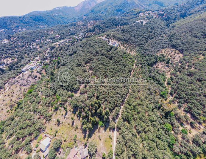 Image No.3-Terre à vendre à Corfou