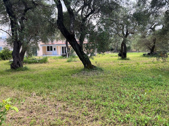 Image No.11-2 Bed House for sale