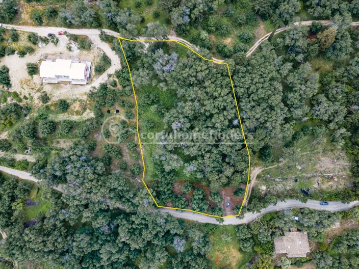 Image No.4-Land for sale