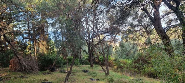 Image No.5-Land for sale