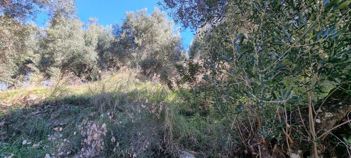 Image No.11-Maison de 3 chambres à vendre à Corfou