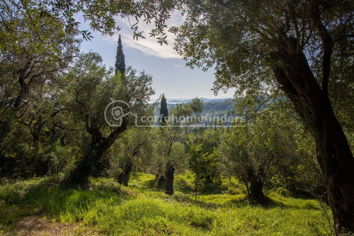 Image No.3-4 Bed Property for sale