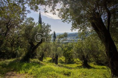 97428d07-f3a4-42bc-aa4b-feab2eca196c