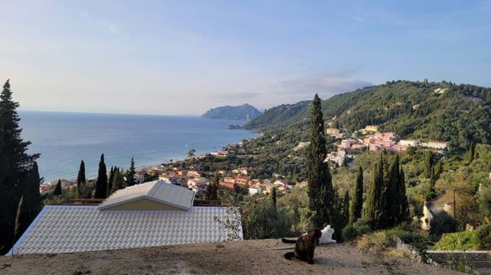 Image No.4-5 Bed House for sale