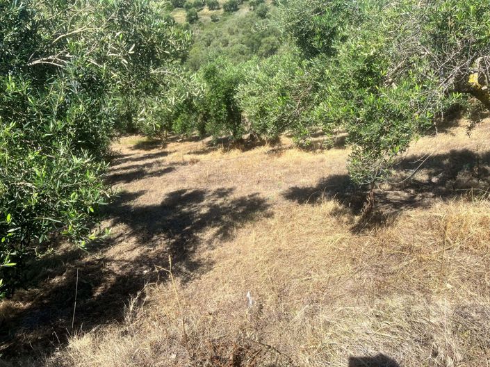 Image No.3-Land for sale