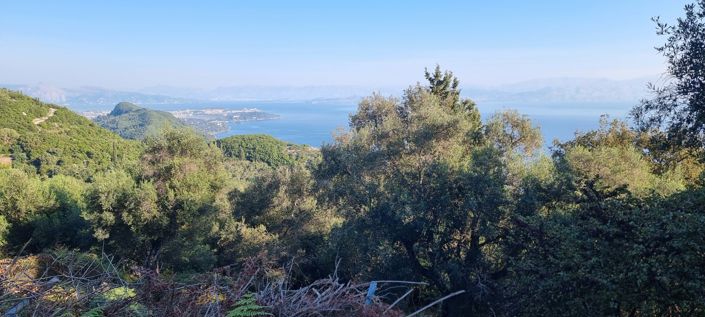 Image No.3-Terre à vendre à Corfou