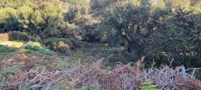 Image No.4-Terre à vendre à Corfou