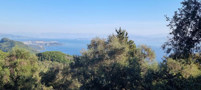 Image No.5-Terre à vendre à Corfou