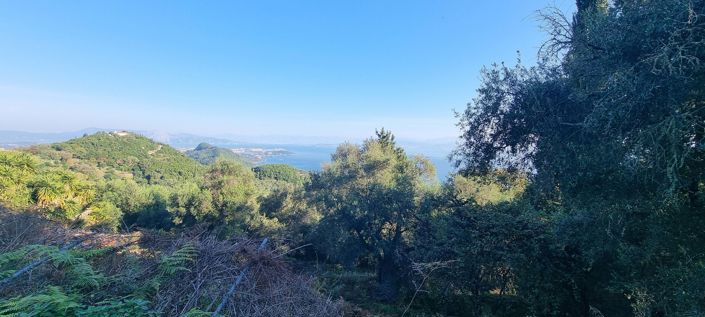 Image No.6-Terre à vendre à Corfou