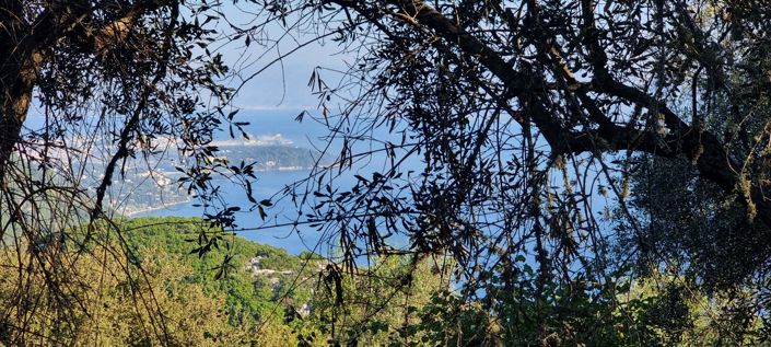 Image No.9-Terre à vendre à Corfou