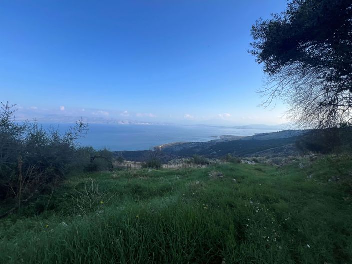 Image No.2-Land for sale