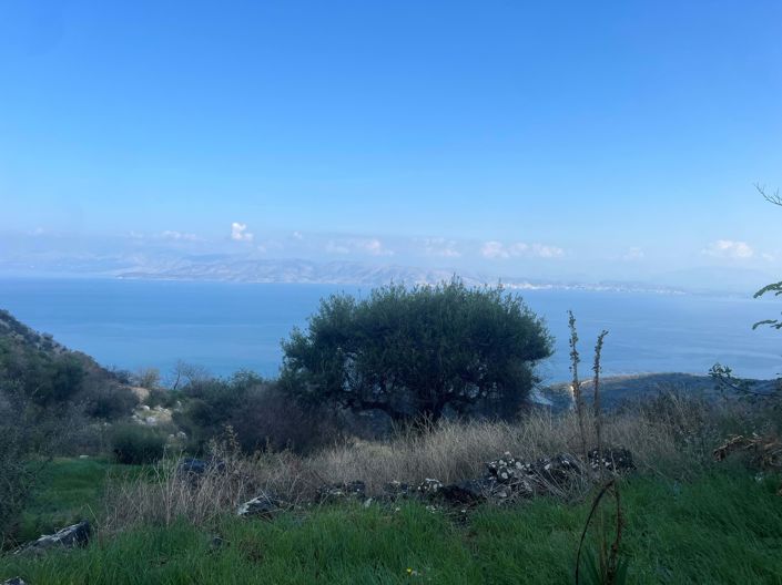 Image No.3-Land for sale