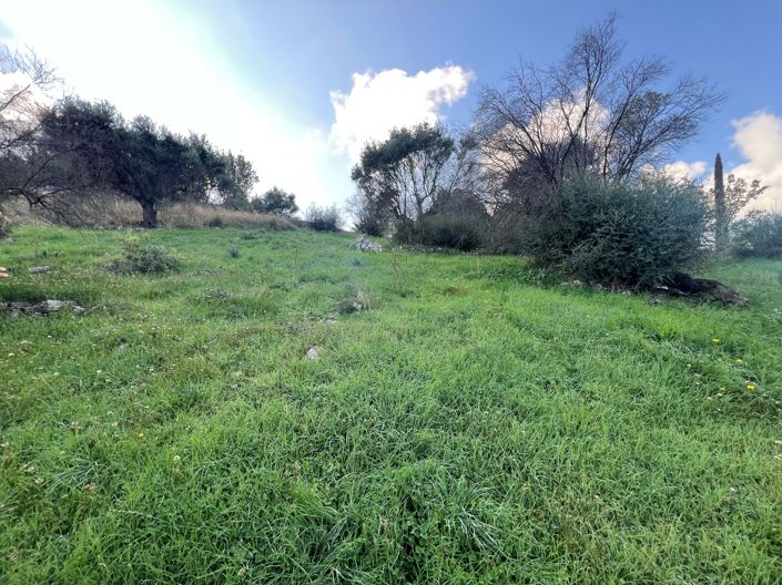 Image No.4-Land for sale