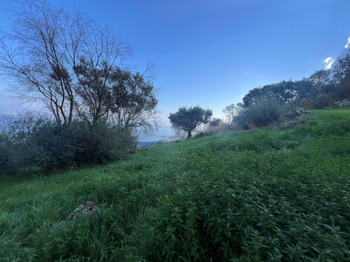 Image No.5-Land for sale