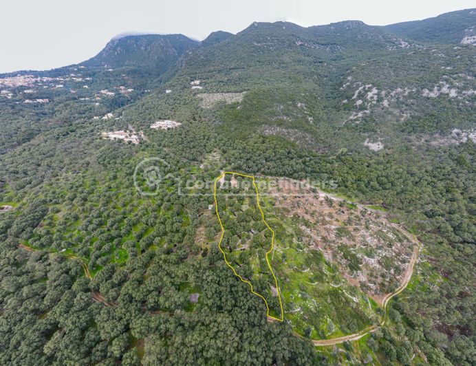 Image No.2-Land for sale