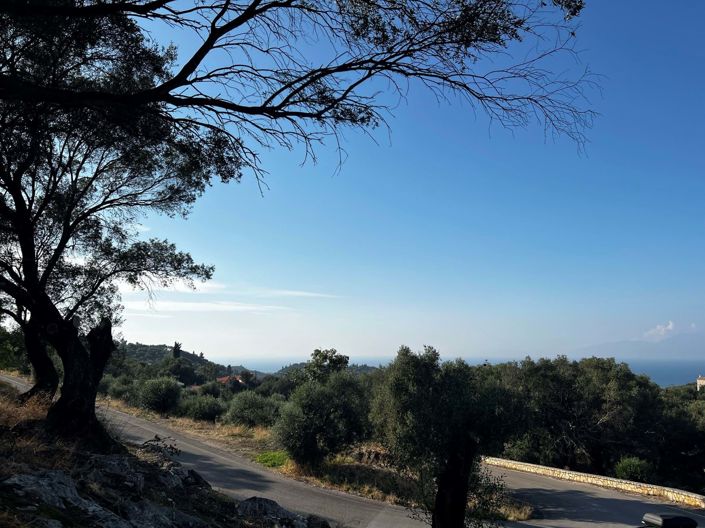 Image No.2-Terre à vendre à Corfou