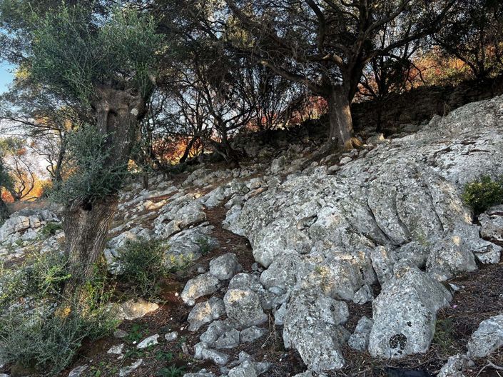 Image No.3-Land for sale