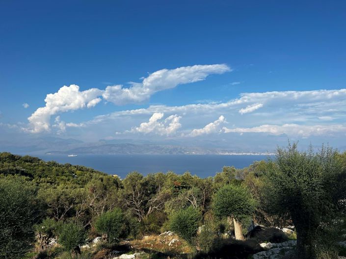 Image No.4-Terre à vendre à Corfou