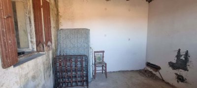 6e03a2a9-e847-4b28-b9c6-a8727e6fdd50