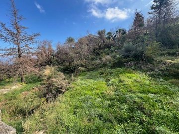 ef0a53ce-639d-46fa-bb2b-b34d9686b1b7