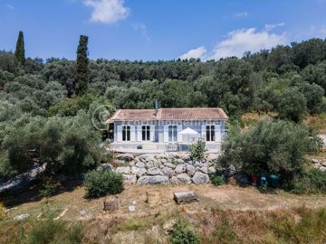 09d9d23b-9367-43a9-8448-908391c830c9