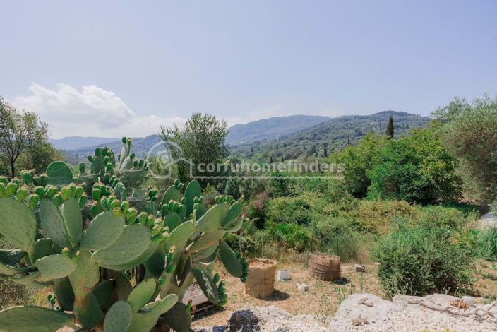 Image No.18-3 Bed House for sale