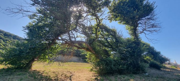 Image No.2-Land for sale