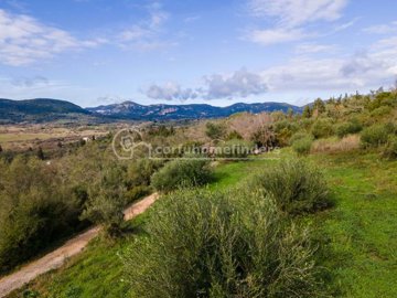 5e894601-037d-4f10-9b55-f75a2b3bc449