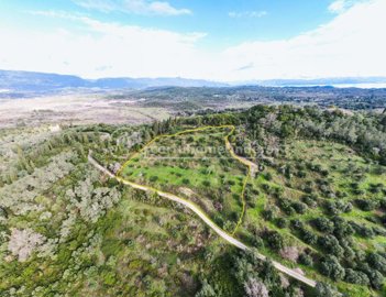 4075f5d2-a45a-493f-a645-0bfff589a213