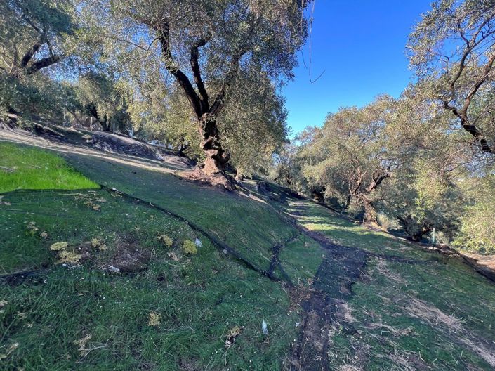 Image No.2-Land for sale