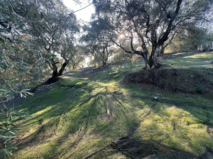 Image No.3-Land for sale