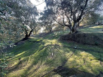 639f56ed-9ff5-4a77-9ccd-3ee0e523c988