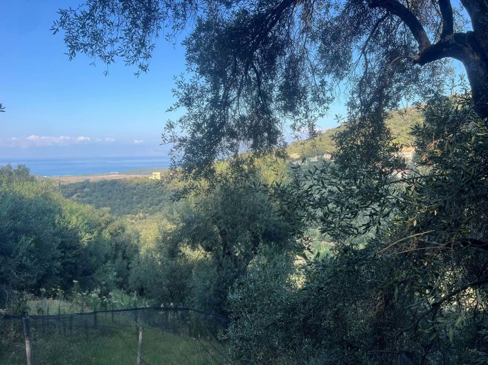 Image No.4-Terre à vendre à Corfou