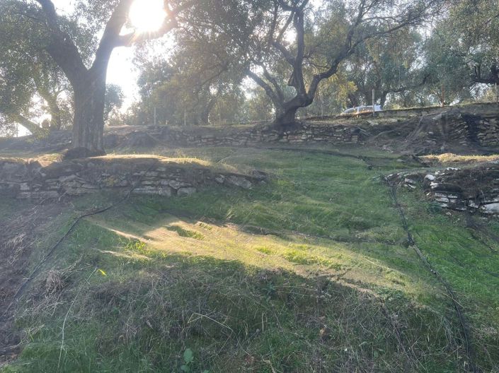 Image No.5-Land for sale