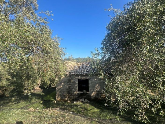 Image No.7-Land for sale