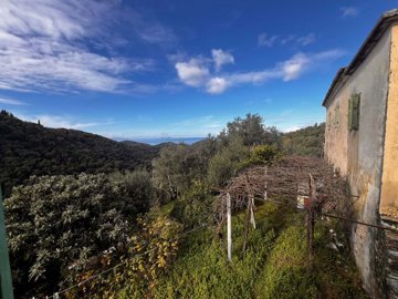 72f6c10e-bebf-4171-b66f-6ef2dd4f58bb