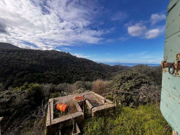 601f0608-a9d7-4c58-871d-35dc2212c890