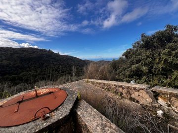 cf16ba8e-56b4-4b9c-ba92-b20c8362a731